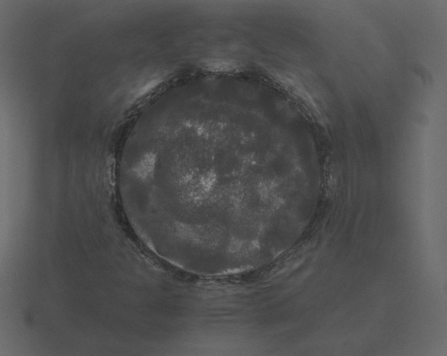 X0000116581301200912241646