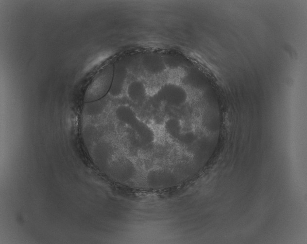 X0000116581302200912241646