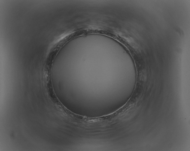 X0000116581303200912241646