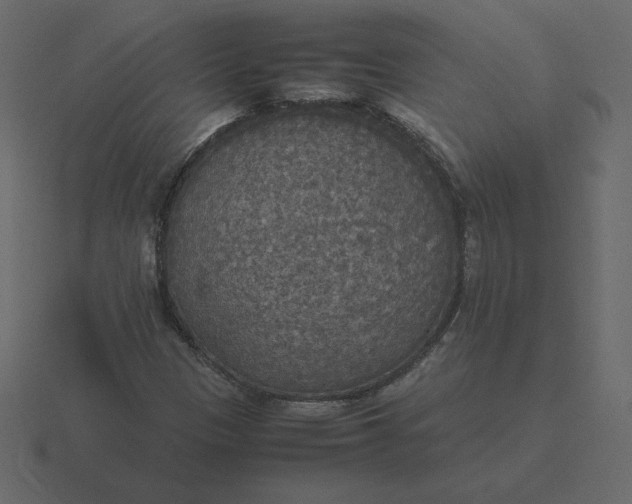 X0000116581305200912241646