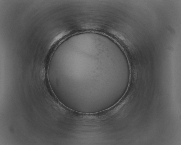 X0000116581306200912241646