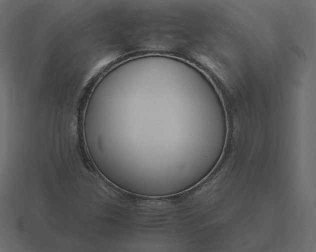 X0000116581307200912241646