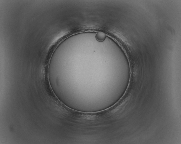 X0000116581309200912241646