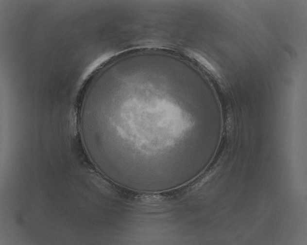 X0000116581310200912241646