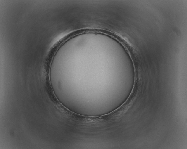 X0000116581311200912241646