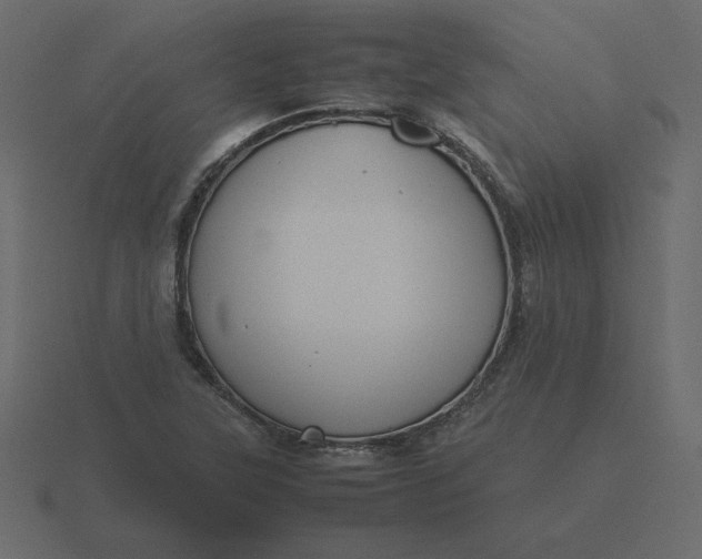 X0000116581315200912241646