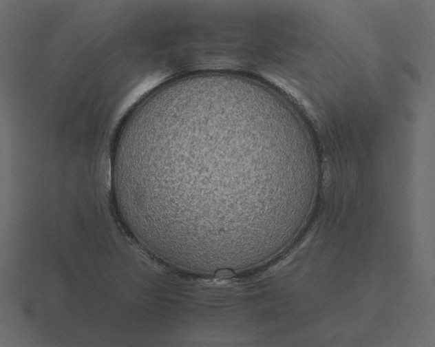 X0000116581317200912241646