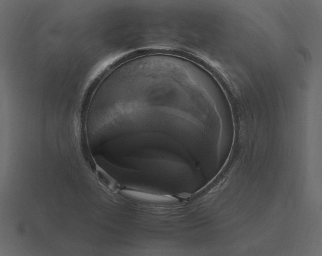 X0000116581319200912241646