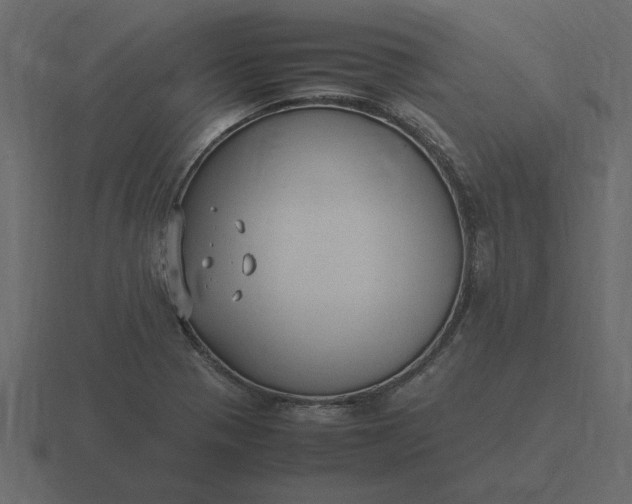 X0000116581321200912241646