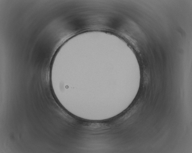 X0000116581322200912241646