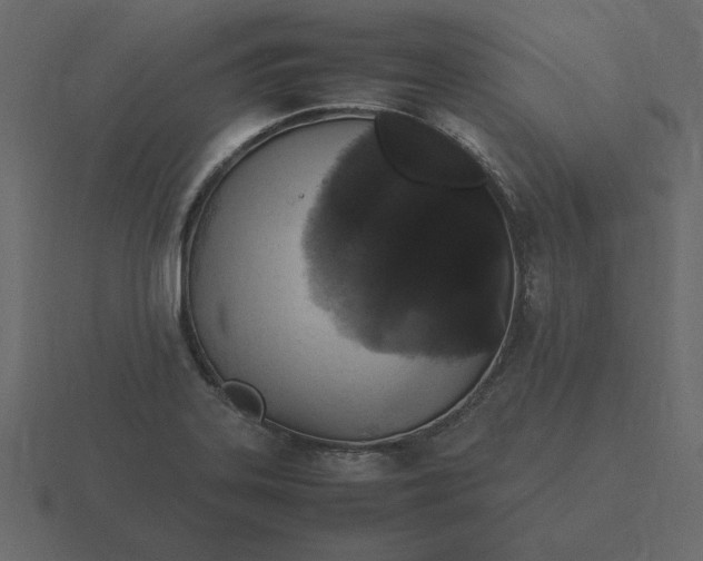 X0000116581323200912241646