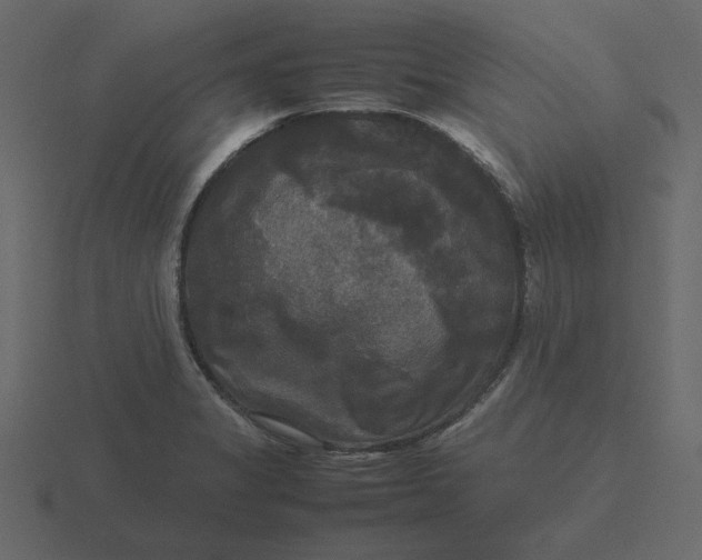 X0000116581325200912241646