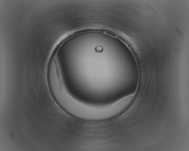 X0000116581326200912241646