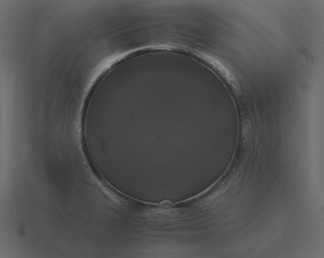 X0000116581327200912241646