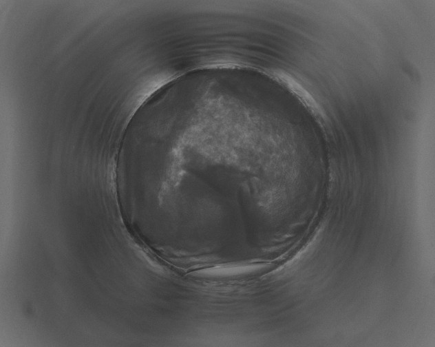 X0000116581329200912241646