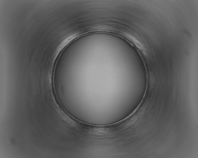 X0000116581330200912241646