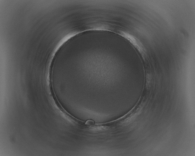 X0000116581331200912241647