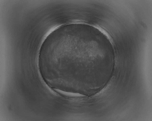 X0000116581333200912241647