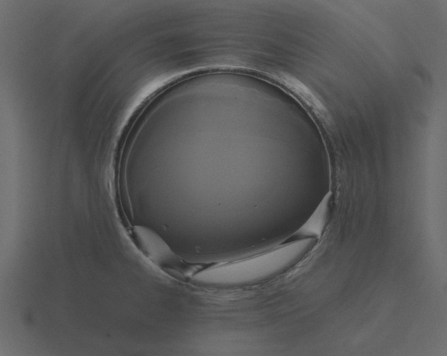 X0000116581334200912241647