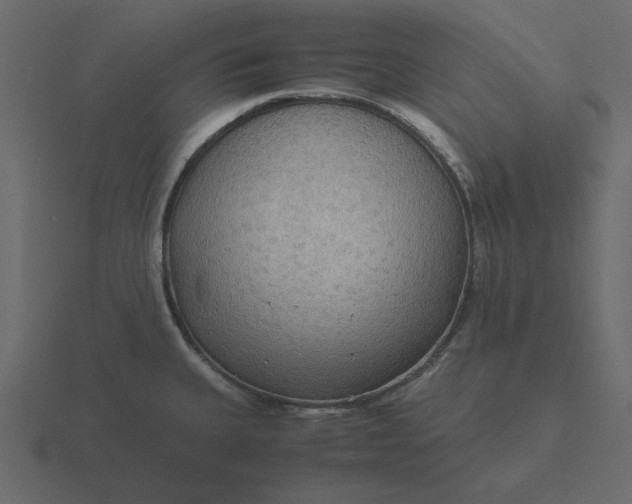 X0000116581335200912241647