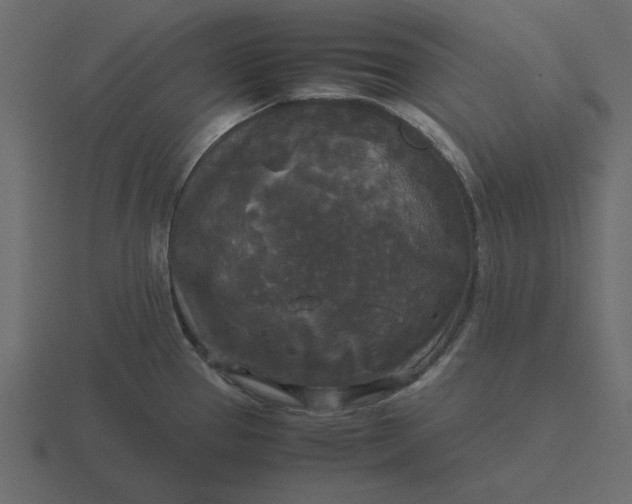 X0000116581337200912241647