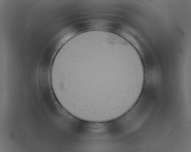 X0000116581338200912241647