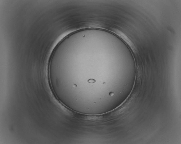 X0000116581339200912241647