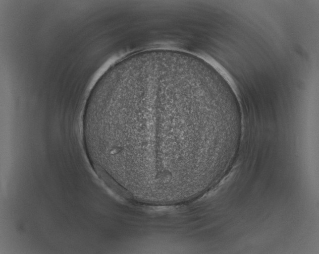 X0000116581341200912241647