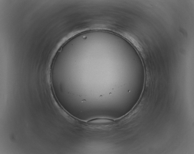 X0000116581342200912241647