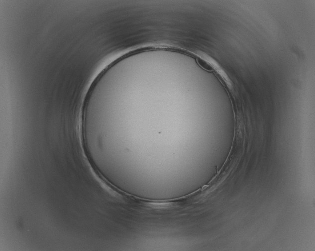 X0000116581343200912241647