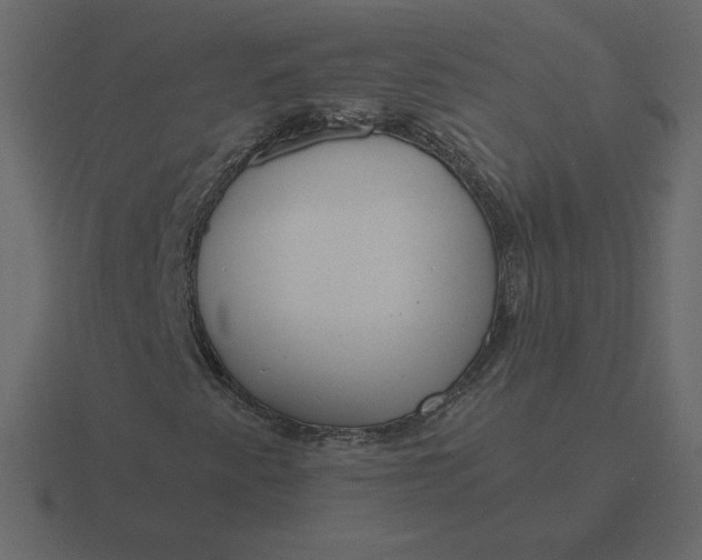 X0000116581345200912241646