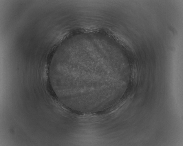 X0000116581346200912241646