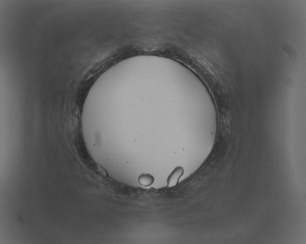 X0000116581349200912241646