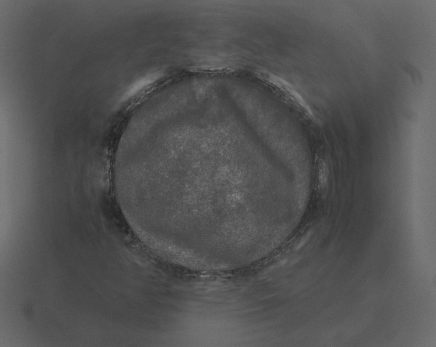 X0000116581350200912241646