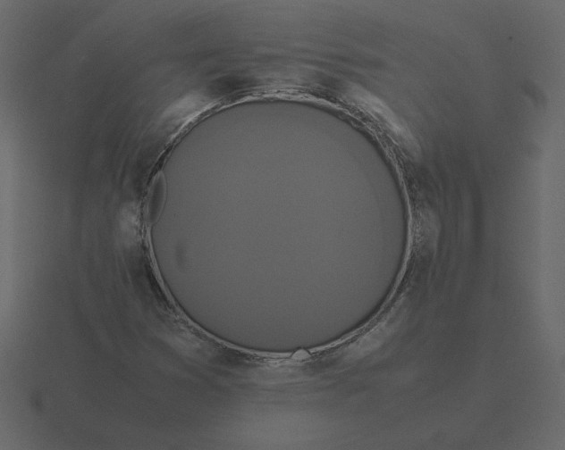 X0000116581353200912241646