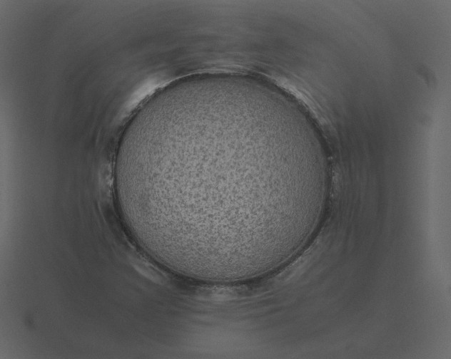 X0000116581355200912241646