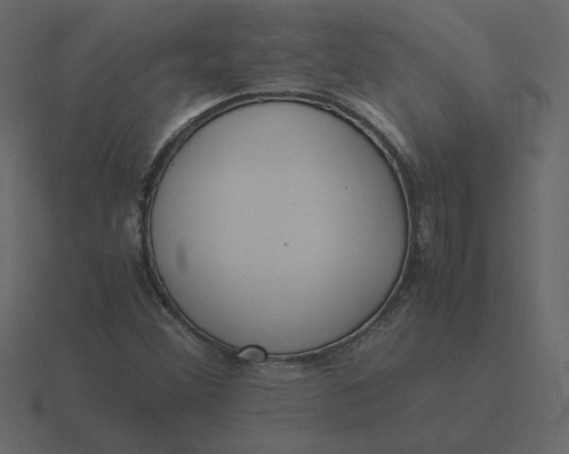 X0000116581356200912241646