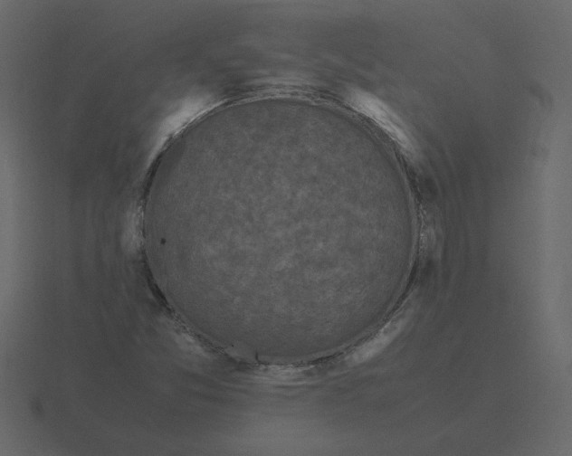 X0000116581357200912241646