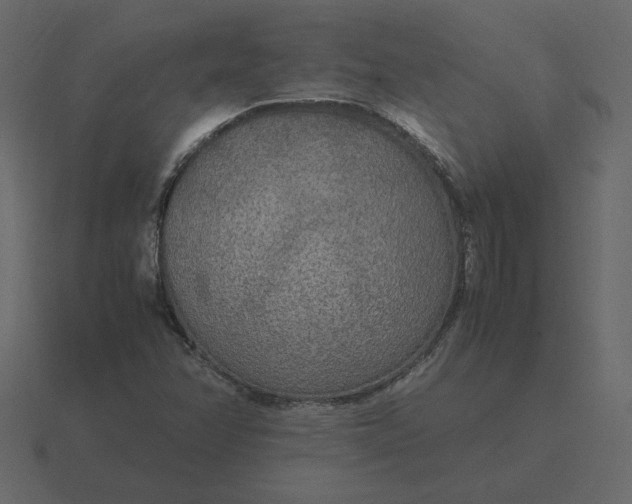 X0000116581358200912241646