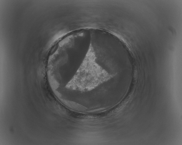 X0000116581359200912241646