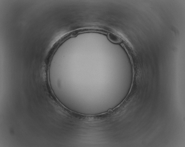 X0000116581360200912241646