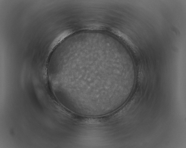 X0000116581362200912241646