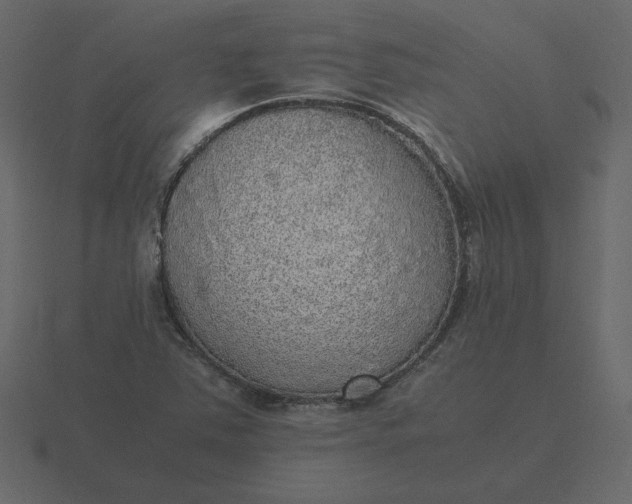 X0000116581363200912241646