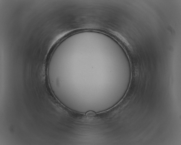 X0000116581364200912241646