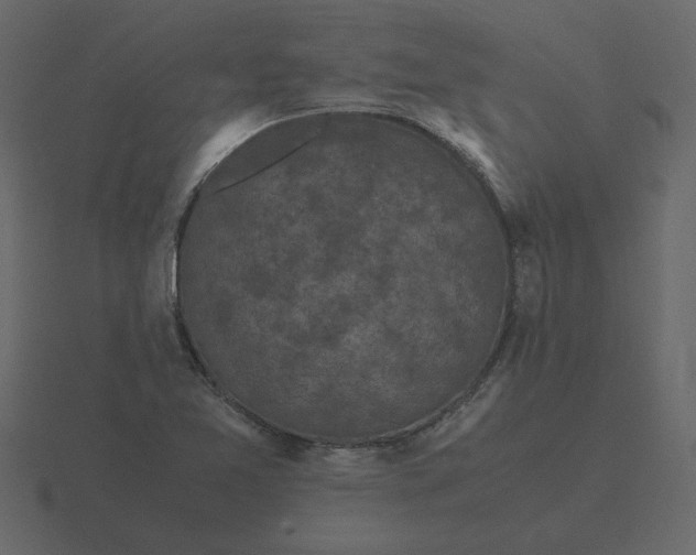 X0000116581365200912241646