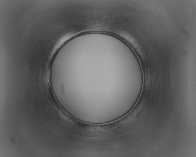 X0000116581366200912241646