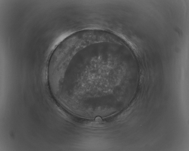 X0000116581367200912241646