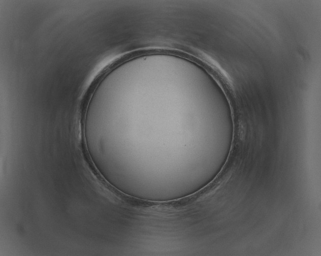 X0000116581368200912241646