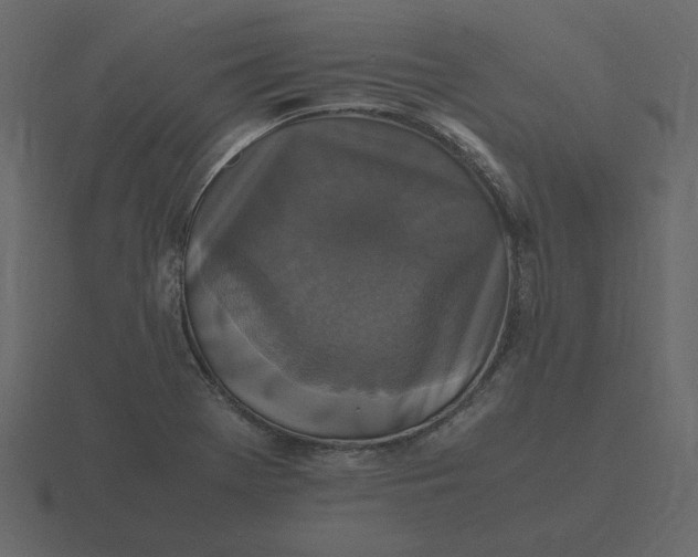 X0000116581369200912241646