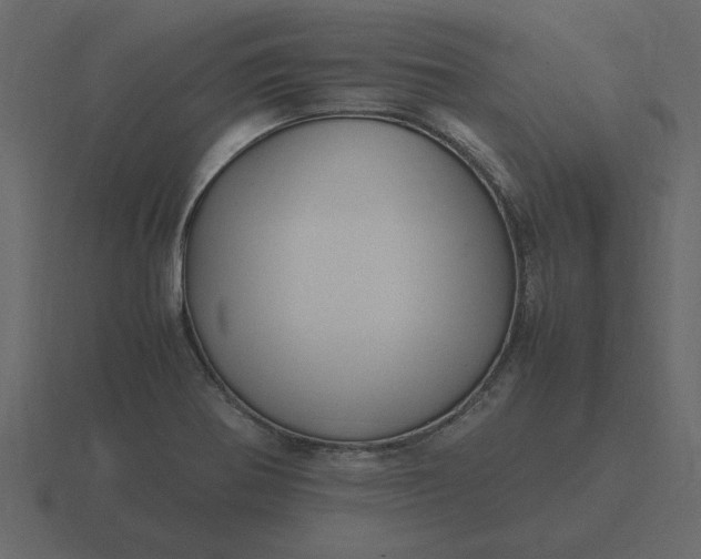 X0000116581370200912241646